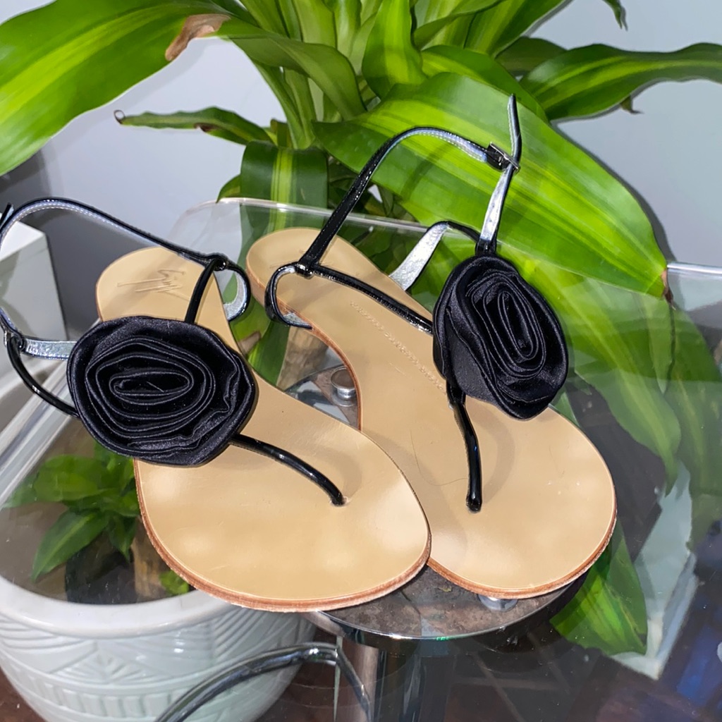 Giuseppe Zanotti